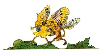 La abeja y la mariposa