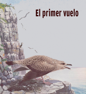 El primer vuelo